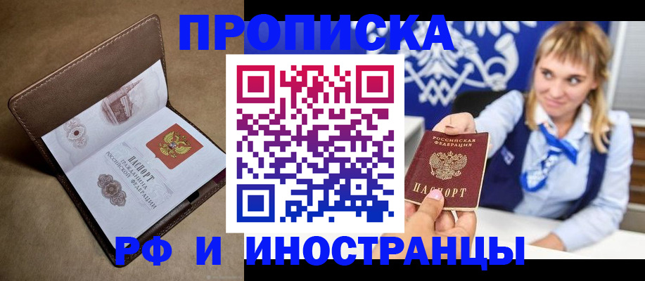 прописка в Сольцах